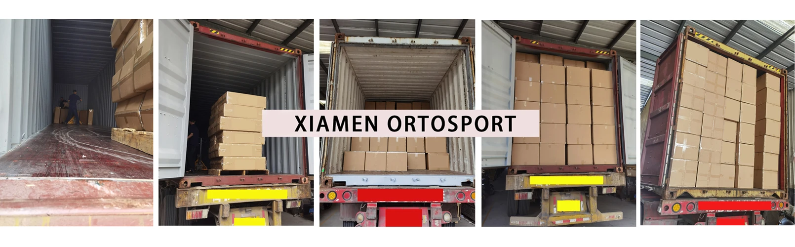 Orthopedic Product Factory